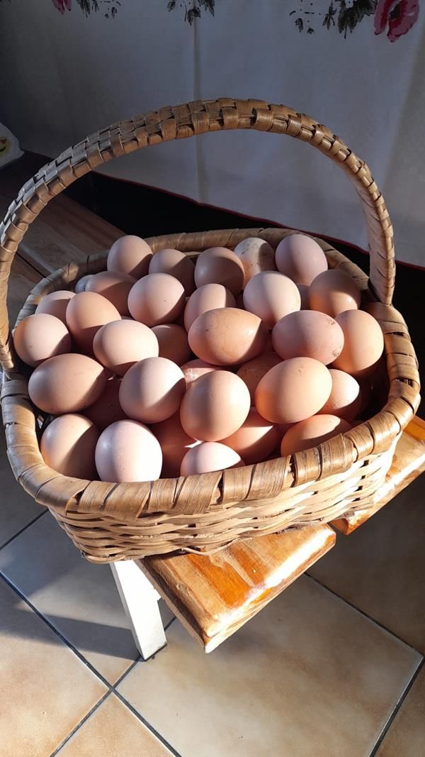 Ovos Caseiros